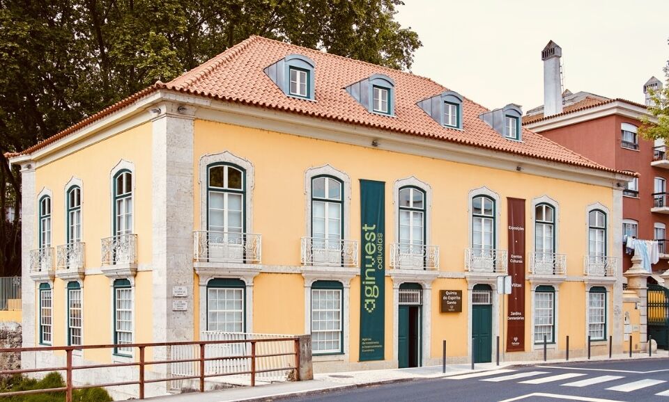 Pre Construction Image Sample